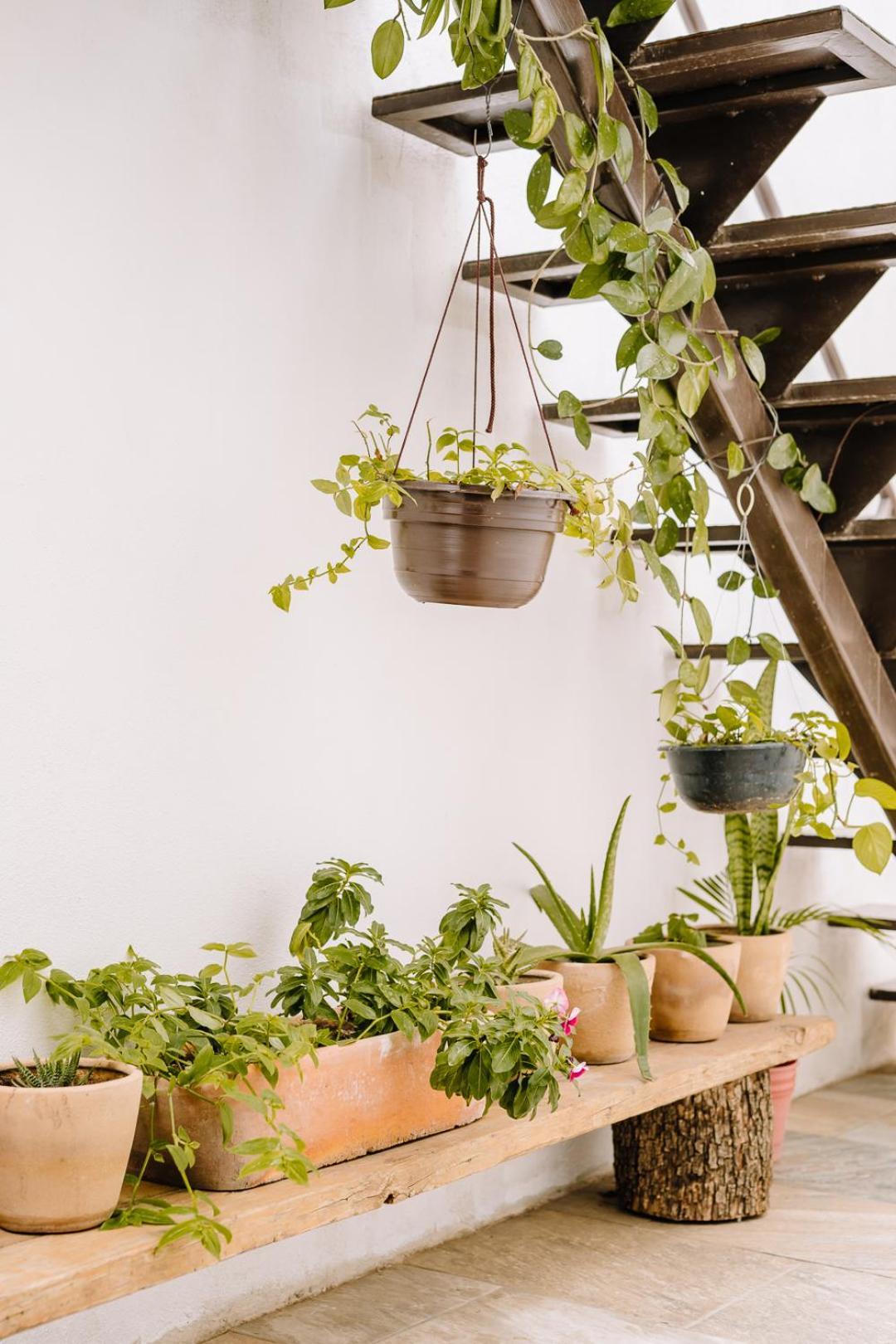 オアハカ州 La Casa Carlota Bed & Breakfast エクステリア 写真